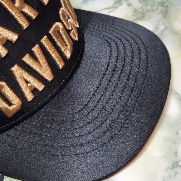 NWT Limited Edition Satin Harley-Davidson SnapBack Flat Brim Bill Hat - Picture 4 of 6